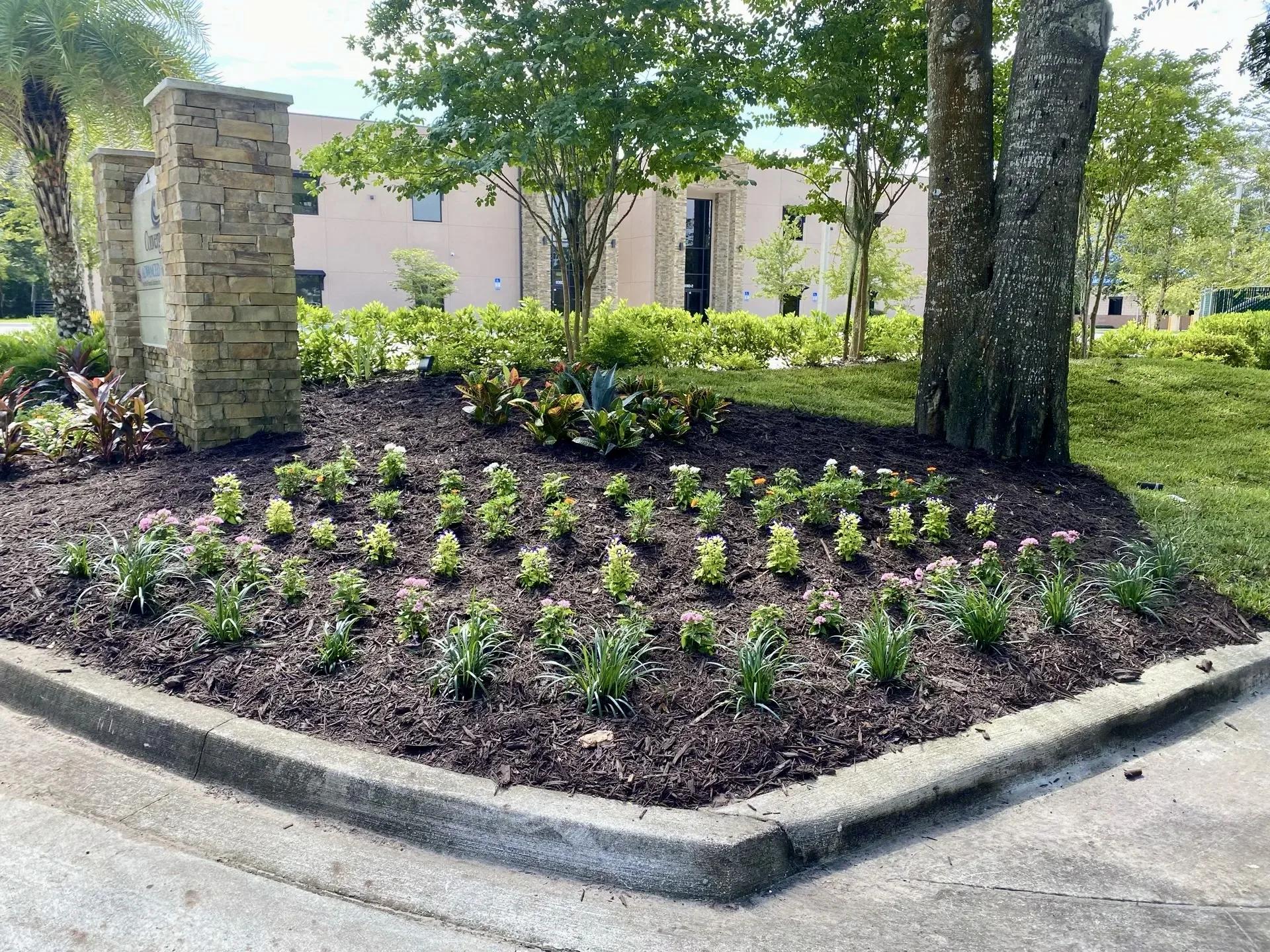 Landscape Design & Installation
