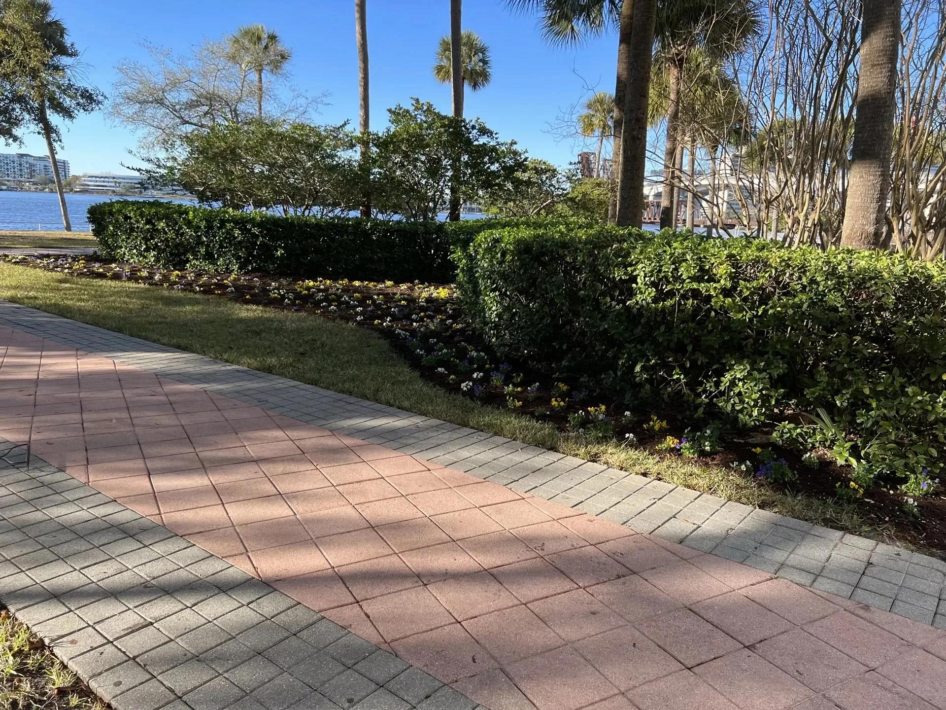 Lawn & Turf Care